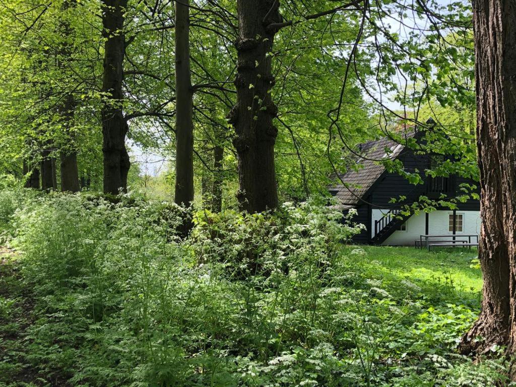 Loon op Zand Het Wagenhuis מראה חיצוני תמונה